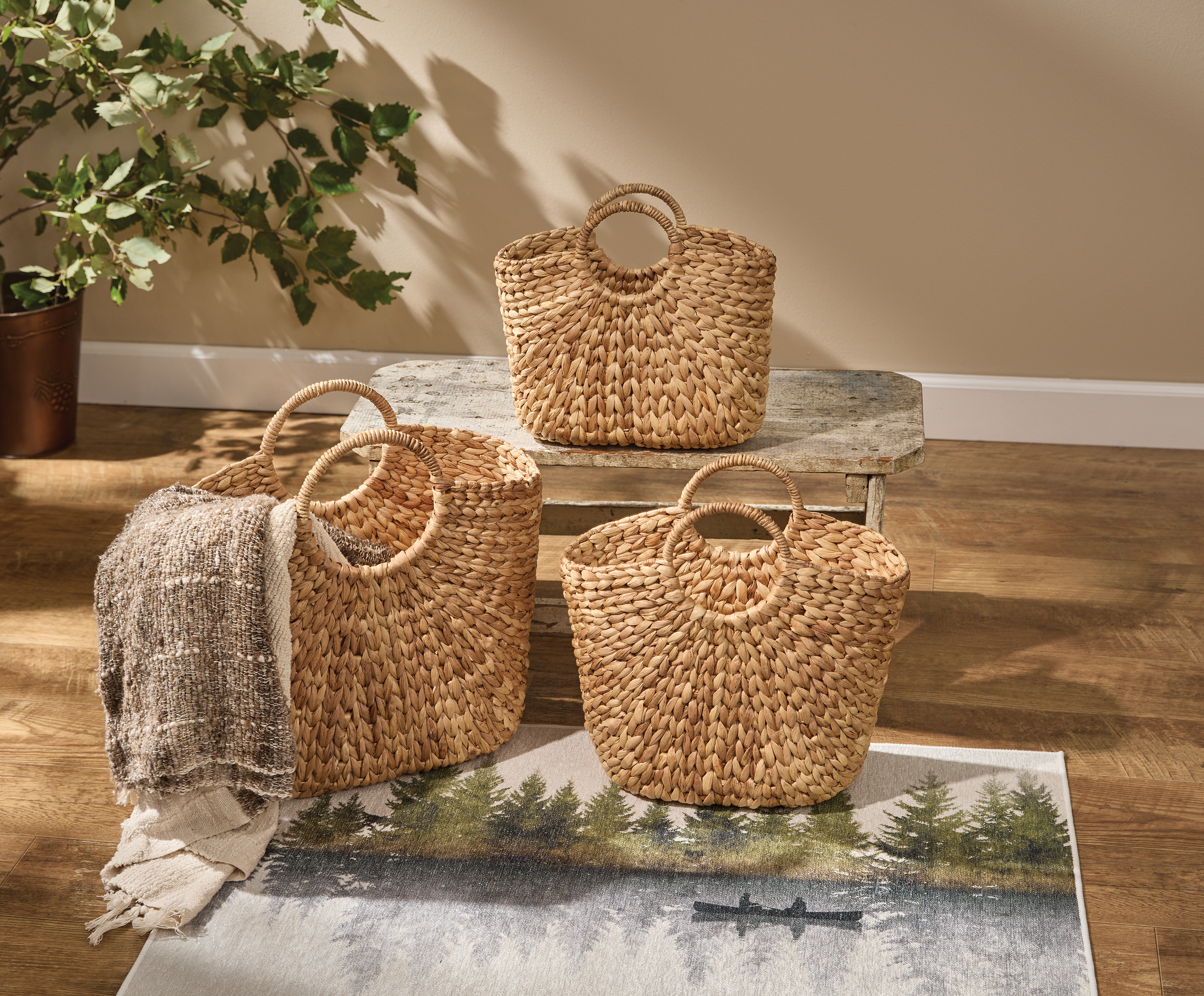 Hyannis Port Set of Three Baskets in Room Image Hyannis Port Set of Three Baskets in Room Image