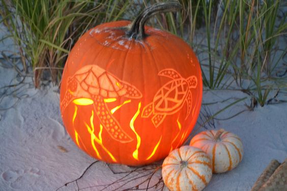 Sea Turtle Pumpkin