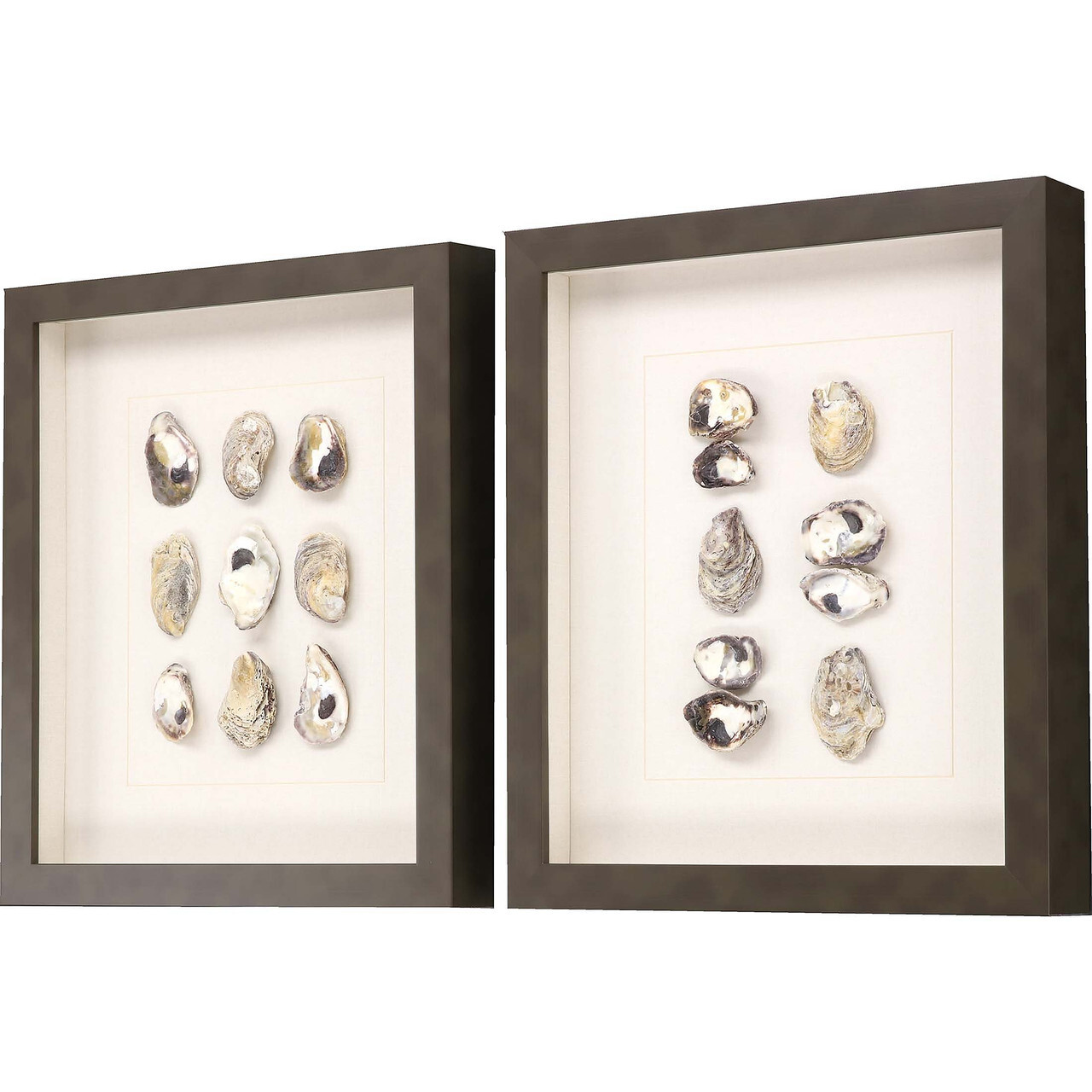 Oyster Sea Shell Shadow Box Series - Set of Two Oyster Shell Shadow Box Art