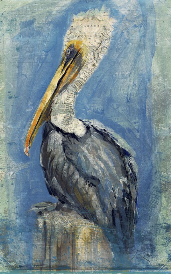 Brown Pelican by Anthony Morrrow