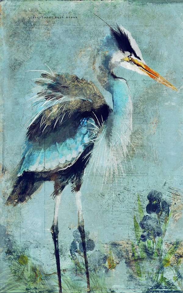 Great Blue Heron by Anthony Morrow
